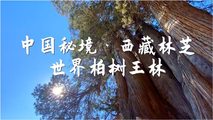 十月怀胎产下怪胎,医生都劝其放弃,产妇却痛苦地做出这样的决定